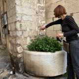 Carla poi ha deciso di allargare la sua oasi anche al di fuori della via in cui abita. Ad esempio in strada Santa Teresa dei Maschi c�� un vaso di senecio che attende ogni giorno che la donna lo vada a innaffiare